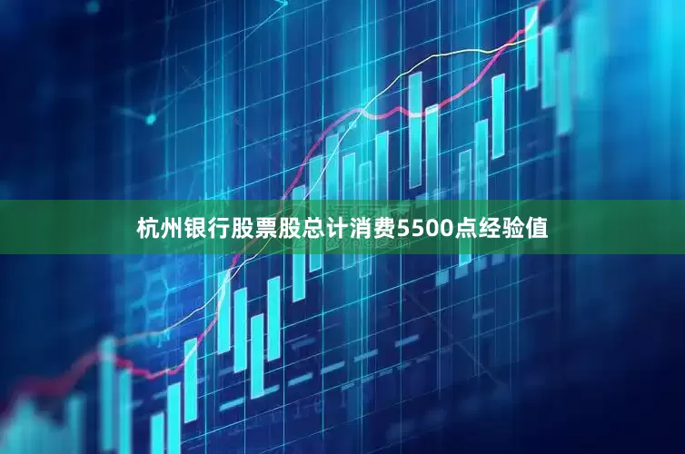 杭州银行股票股总计消费5500点经验值